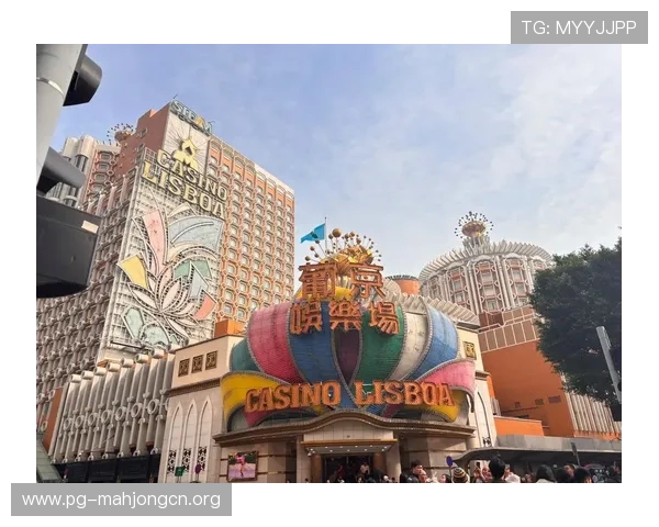 澳门·威尼斯电子PG入口推动数字娱乐产业发展，打造澳门特色的国际娱乐品牌